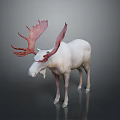 White Moose With Large Red Antlers Standing On Dark Background