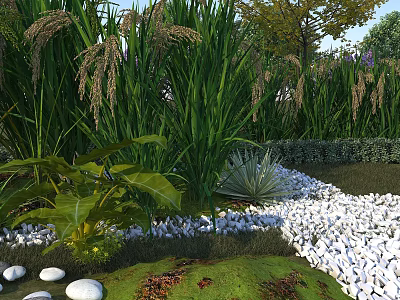 Natural Garden Landscape With Tall Green Grasses Various Plants White Pebbles And Green Lawn 3d model