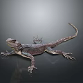 Detailed Lizard With Textured Body And Long Tail On Dark Reflective Surface 3d model