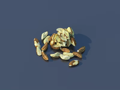 Natural Dried Seeds With Green And Brown Hues On Dark Surface 3d model