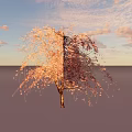 Graceful Weeping Cherry Tree With Pink Blossoms And Elegant Hanging Branches