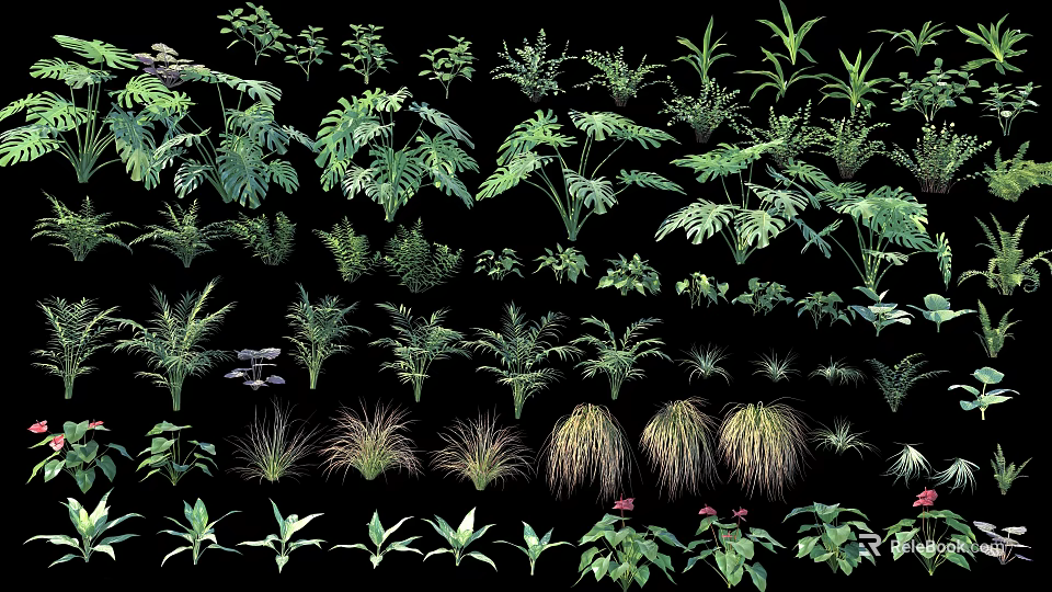 Various Types of Shrubs With Different Leaf Shapes Sizes and Foliage for Landscaping 3d model 