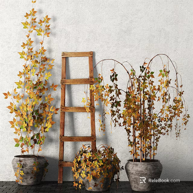 Bonsai Potted Plants Display With Wooden Ladder And Colorful Autumn Leaves 3d model 