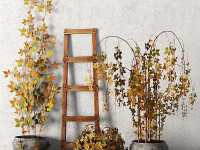Bonsai Potted Plants Display With Wooden Ladder And Colorful Autumn Leaves 3d model
