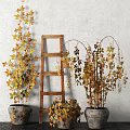 Bonsai Potted Plants Display With Wooden Ladder And Colorful Autumn Leaves