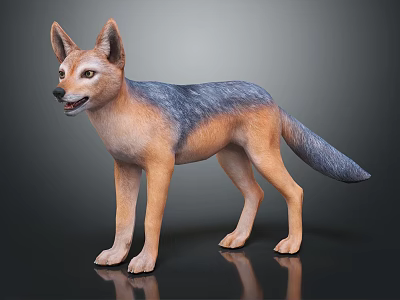 Realistic Brown and Gray Jackal Figure Standing on Dark Reflective Ground 3d model