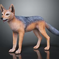 Realistic Brown and Gray Jackal Figure Standing on Dark Reflective Ground
