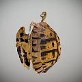 Intricate Striped Shell Model With Detailed Internal Mechanical Structure Design