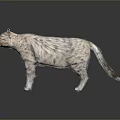 Realistic Striped Tabby Cat Standing Gracefully On Dark Background With Reflection