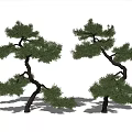 New Chinese Pine Tree Pine Tree Welcome Pine 3d model