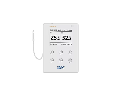 AZADI Commercial Temperature Humidity Monitoring Device With Digital Display And Sensor Probe 3d model