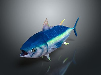 Northern bluefin tuna albacore tuna yellowfin tuna blackfin tuna 3d model