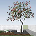 Tall Arbor Tree With Pink Blossoms Green Leaves Against Blue Sky