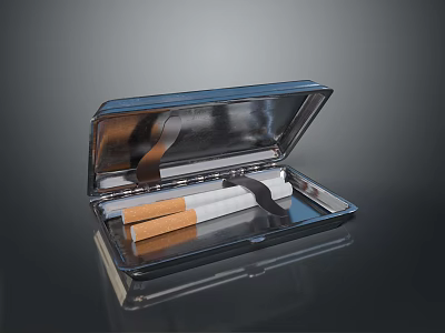 Open Metal Cigarette Case With Stored Cigarettes For Daily Household Use 3d model