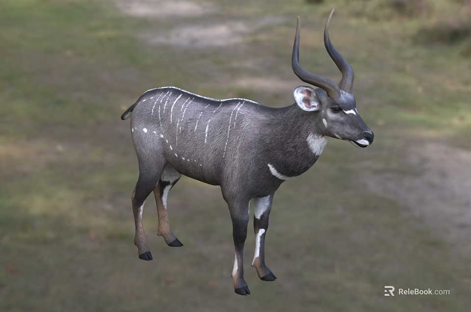 Gray Reptile With White Stripes And Long Horns Standing On Grassland 3d model 