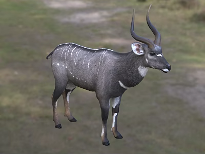 Gray Reptile With White Stripes And Long Horns Standing On Grassland 3d model Gray Reptile With White Stripes And Long Horns Standing On Grassland 3d model