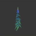 Tall Green Plant With Long Stem Green Leaves Pink Flowers And Grey Background