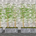 Lush Green Potted Bamboo Plants in Concrete Planters Against White Brick Wall