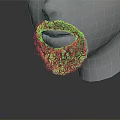 Close Up View Of White Head Model With Detailed Beard Texture 3d model