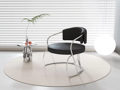 Modern Leisure Chair With Black Cushion And Metal Frame On Round Rug By Window Blind 3d model