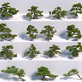 Arbor Collection Showcasing Various Styles And Different Shapes Design 3d model