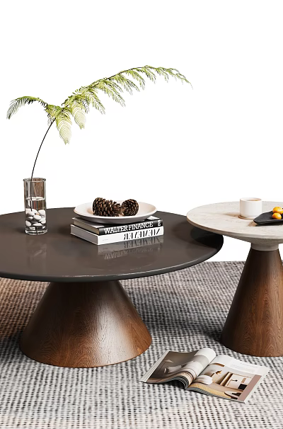 Black White Round Coffee Tables with Wooden Cone Bases Green Plant Magazines Fruit Tray 3d model