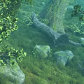 Lush Green Forest Landscape With Tall Trees Grasses Fallen Trunk And Rocks