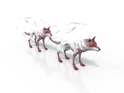 Two red foxes with white flowing fur standing on white background 3d model