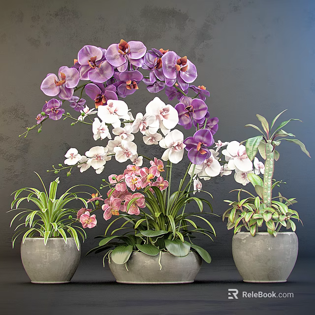 Decorative Bonsai Potted Plants Featuring Purple White Pink Orchids And Green Leaves 3d model 