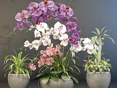 Decorative Bonsai Potted Plants Featuring Purple White Pink Orchids And Green Leaves 3d model