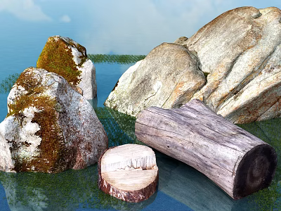 Natural Outdoor Scenery With Mossy Stones And Wooden Trunk Stump Near Water Grass 3d model