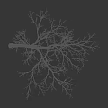 Leafless Tree with Curved Trunk and Human Silhouette Against Black Background 3d model