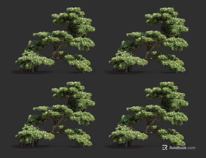 Realistic Arbor 3D Models With Lush Green Foliage And Varied Forms 3d model 