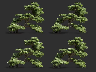 Realistic Arbor 3D Models With Lush Green Foliage And Varied Forms 3d model