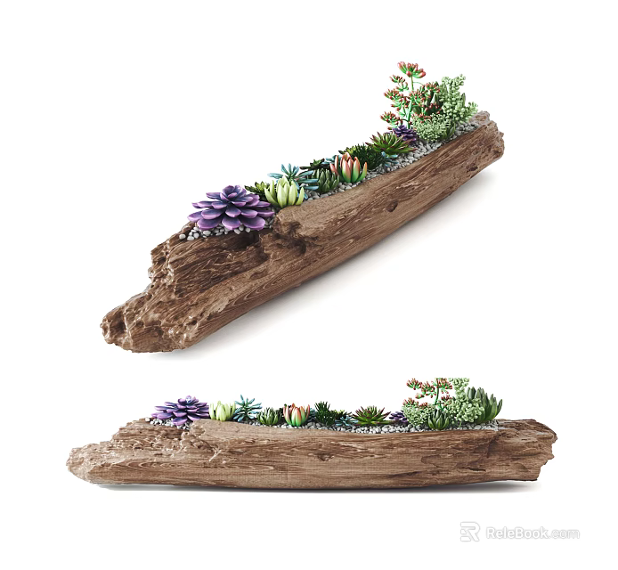 Wooden Log Bonsai Planter With Various Succulent Plants And Natural Design 3d model 