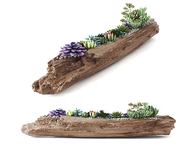Wooden Log Bonsai Planter With Various Succulent Plants And Natural Design 3d model