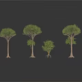 Various Sizes of Trees with Green Foliage Brown Trunks and White Background Reflections
