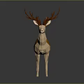 Low Poly Deer 3D Model With Orange Beige Body And Large Antlers 3d model