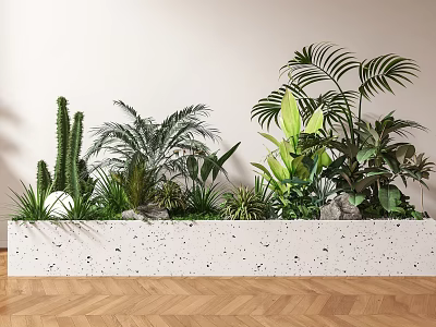 Indoor Bonsai and Potted Plants in White Terrazzo Planter with Various Green Foliage 3d model