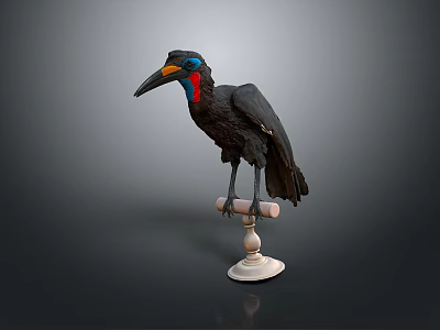 Black Bird With Blue Eyes Red Throat And Long Beak Standing On White Base 3d model