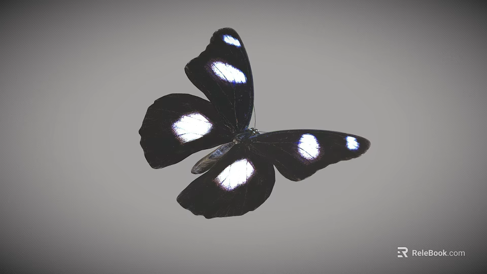 Black And White Spotted Butterfly Game Character Flying In Animated Scene 3d model 