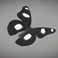 Black And White Spotted Butterfly Game Character Flying In Animated Scene