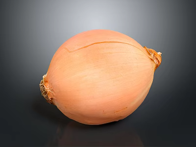 Fresh Orange Onion With Natural Texture On Black Background Surface 3d model