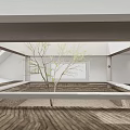 Minimalist Cultural Center Interior With Wooden Floor And Small Tree Design