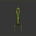 Green Mantis 3D Model Standing With Yellow Legs And Antenna On Reflective Surface