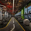 Modern Gym Interior With Treadmills Weight Machines And Green Wall Decor