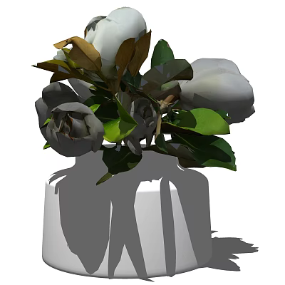 Minimalist White Vase With White Flowers And Green Leaves For Home Decor 3d model
