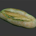 Freshly Baked Artisan Bread With Golden Crust And Soft Interior