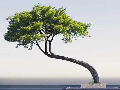 Arbor With Curved Trunk And Lush Green Leaves On Stone Base Platform 3d model