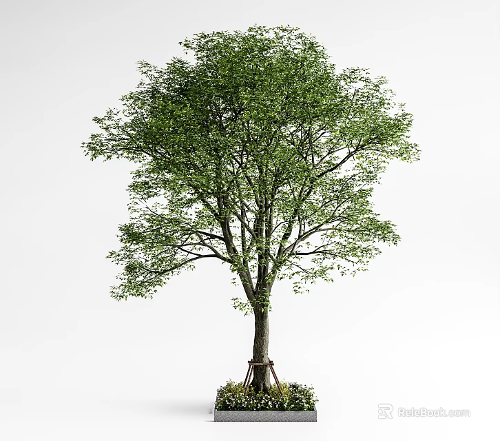Tall Arbor Tree With Lush Green Leaves Thick Trunk And Surrounding Base Plants 3d model 